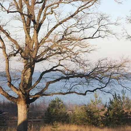Sea And Salt Apartment Timmendorfer Strand