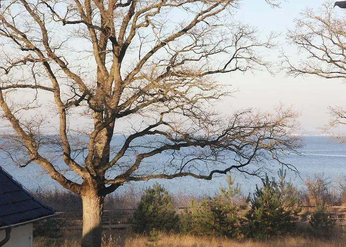 Sea And Salt Apartment Timmendorfer Strand